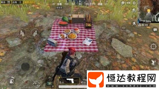 和平精英野餐點(diǎn)位置全解析：海盜地圖楓樹林中的秋千與美食