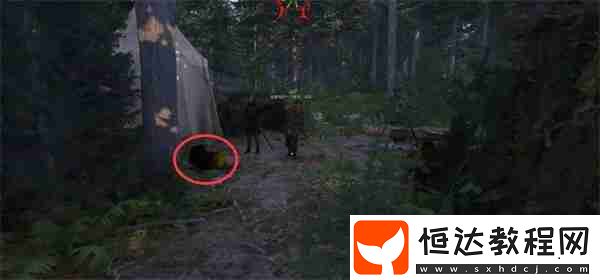 天國拯救2祖?zhèn)鲗毼锶蝿?wù)攻略