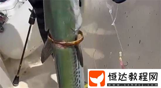 套著一個(gè)金鐲子