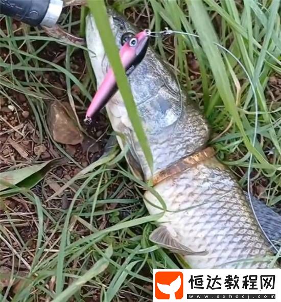 套著一個(gè)金鐲子