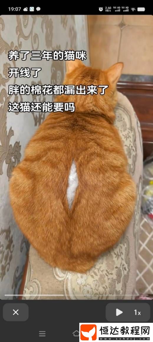 衣服從穿多到穿少的囧圖