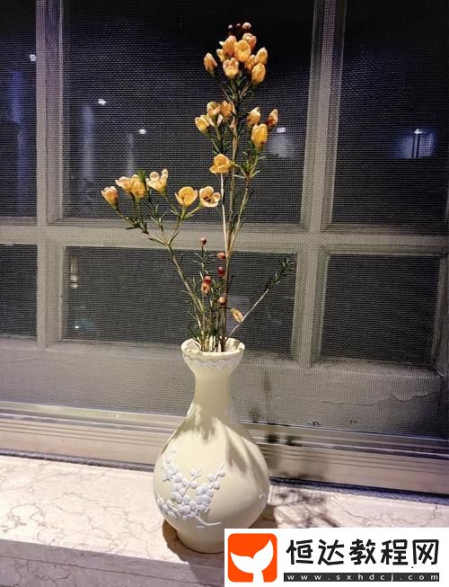 金花瓶楷梅花2正片