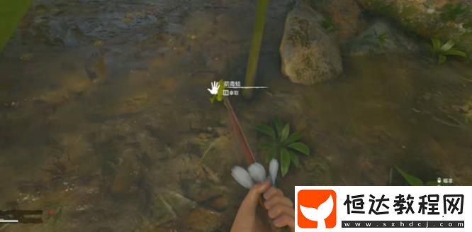 綠色地獄箭毒蛙解毒方法