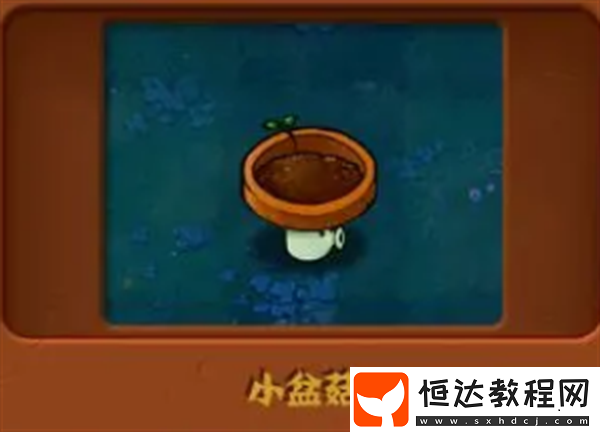 植物大戰(zhàn)僵尸雜交版強(qiáng)度高的白卡植物介紹