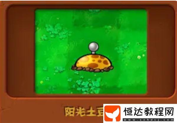 植物大戰(zhàn)僵尸雜交版強(qiáng)度高的白卡植物介紹