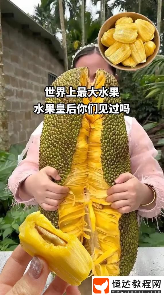 網(wǎng)友
