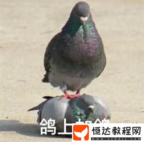 打槍和妹妹全都要！這次的PUBG又整了什么新活兒