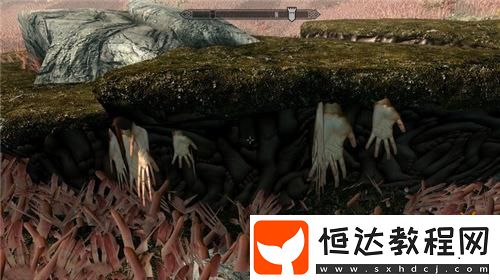 謝謝已經(jīng)癱了！上古卷軸5奇葩新MOD