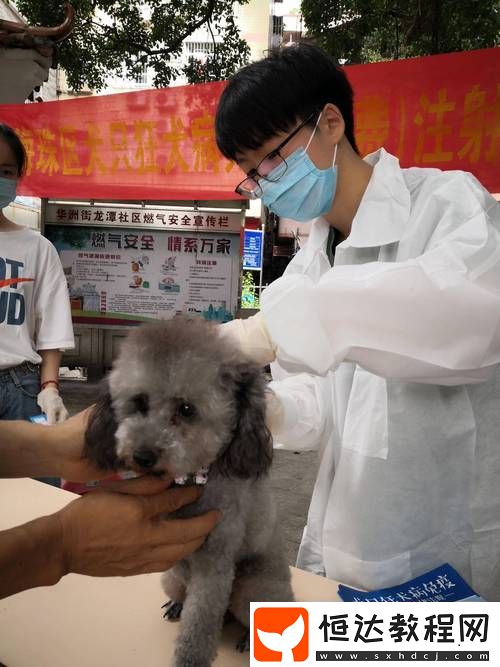 人與畜禽共性行為的心理學(xué)