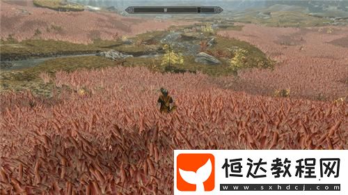 謝謝已經(jīng)癱了！上古卷軸5奇葩新MOD