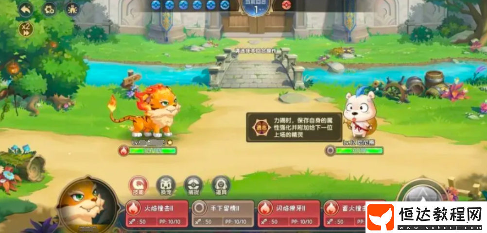 西普大陸哈尼熊學習儀式攻略